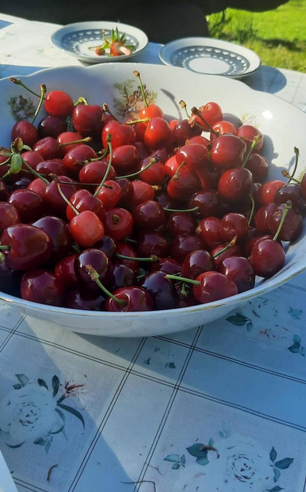 فيلا Mala Farma Nani فيسوكو المظهر الخارجي الصورة